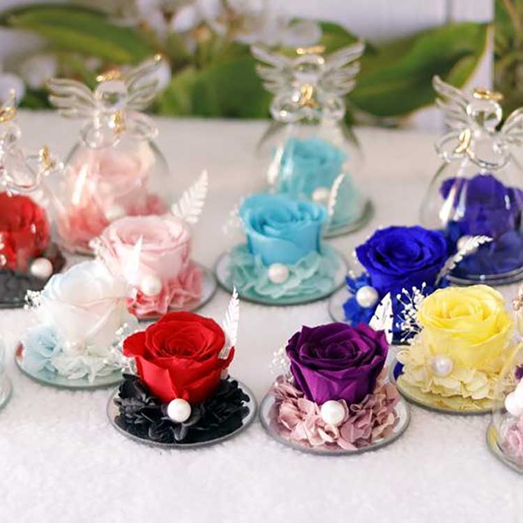 گل رز ابدی فرشته