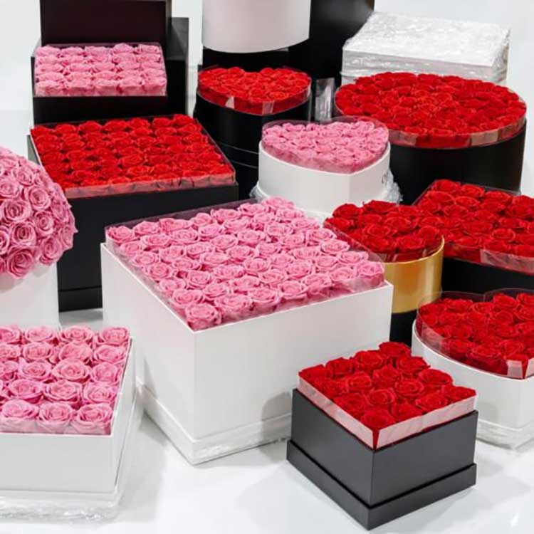 سطل آغوشی نگهداری شده گل