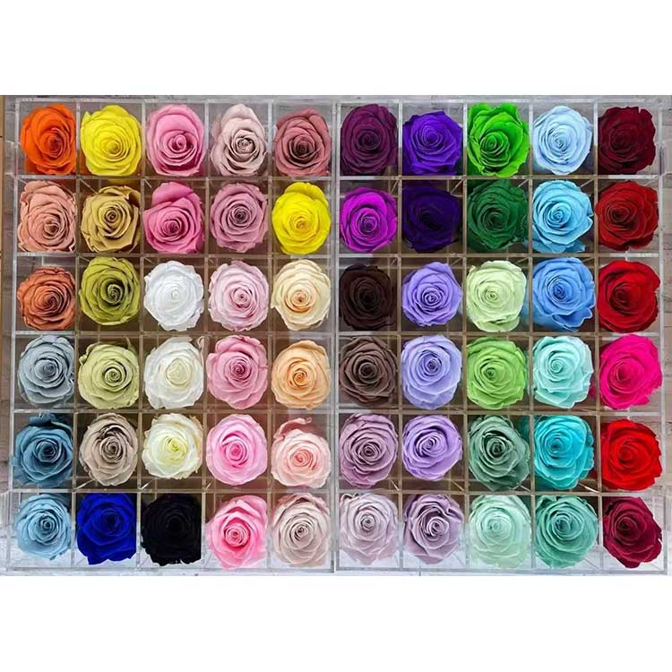 رزهای نگهداری شده